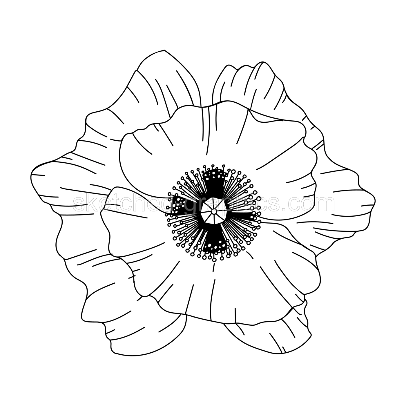 Poppy flower bud illustration. Modern botanical drawing for pattern, logo, template, banner, posters, invitation and greeting card design. Black poppy outline. Spring wild flower design. Illustration